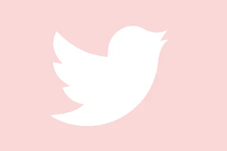 Twitter Increasing Privacy With Stricter Picture And Media Sharing