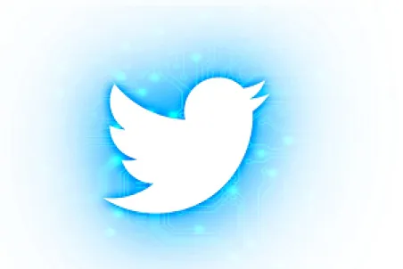 Twitter logo, representing secret account risks